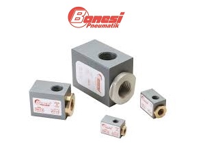 bonesi