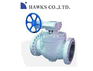 hawks